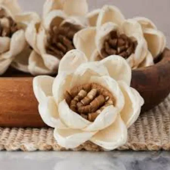 Perfect Shola Flower